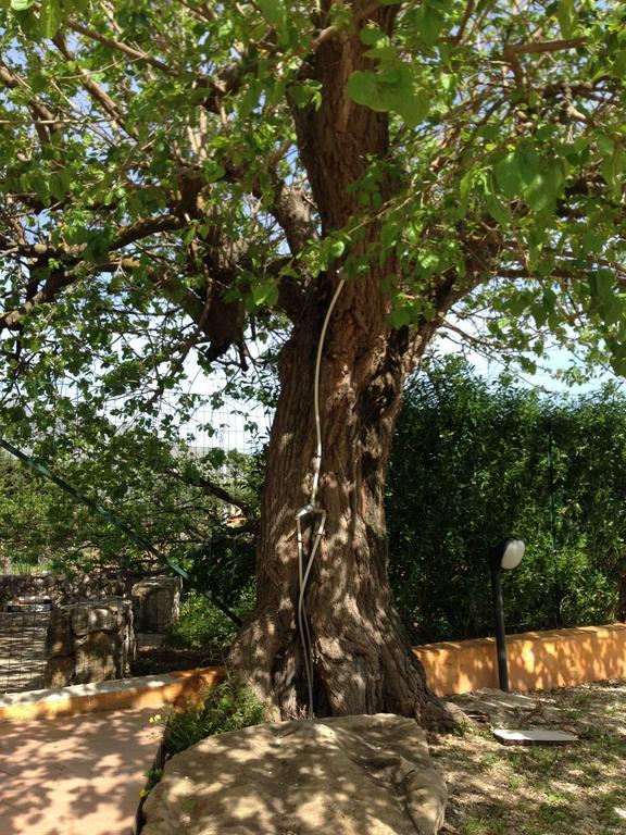 Lovely Cottage Castellammare del Golfo Εξωτερικό φωτογραφία