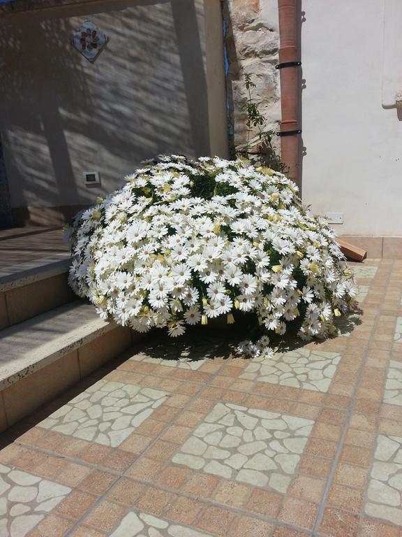 Lovely Cottage Castellammare del Golfo Εξωτερικό φωτογραφία